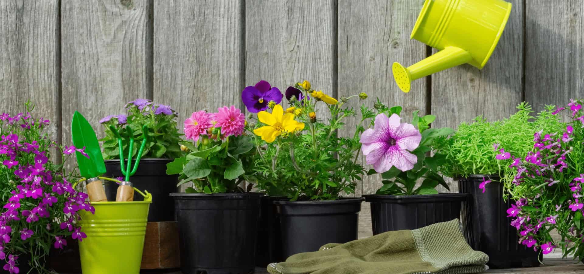 5 wertvolle Tipps, um Ihren Garten frühlingsfit zu machen