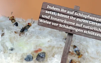 Schlupfwespen: Effektive Nützlinge für einen gesunden Garten